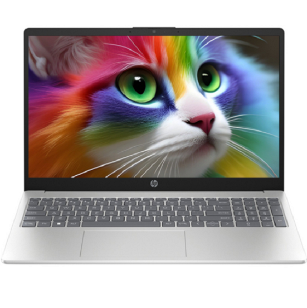 HP 2023 노트북 15, Natural Silver, 라이젠5, 512GB, 16GB, WIN11 Home, 15-fc0072AU